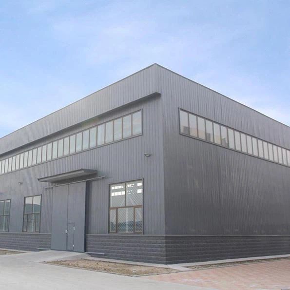 Edificio de almacén de estructura de acero